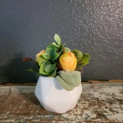 Diane Floral Arrangements 3" Sit Around With Orange Rose