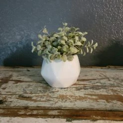 Diane Small Greenery