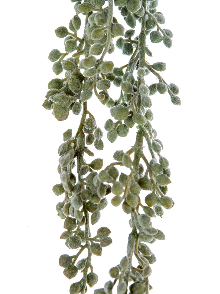 American Best 27" String Of Pearls, Green Greenery 1 American Best 27" String Of Pearls, Green Greenery