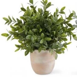 K&K Interiors Large Herb In Terracotta Pot (Various Styles) Greenery