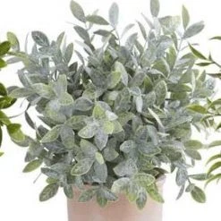 K&K Interiors Large Herb In Terracotta Pot (Various Styles) Greenery