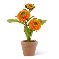 K&K Interiors 10" Triple Head Zinnia In Ceramic Pot (Various Colors) Plants & Potted Items